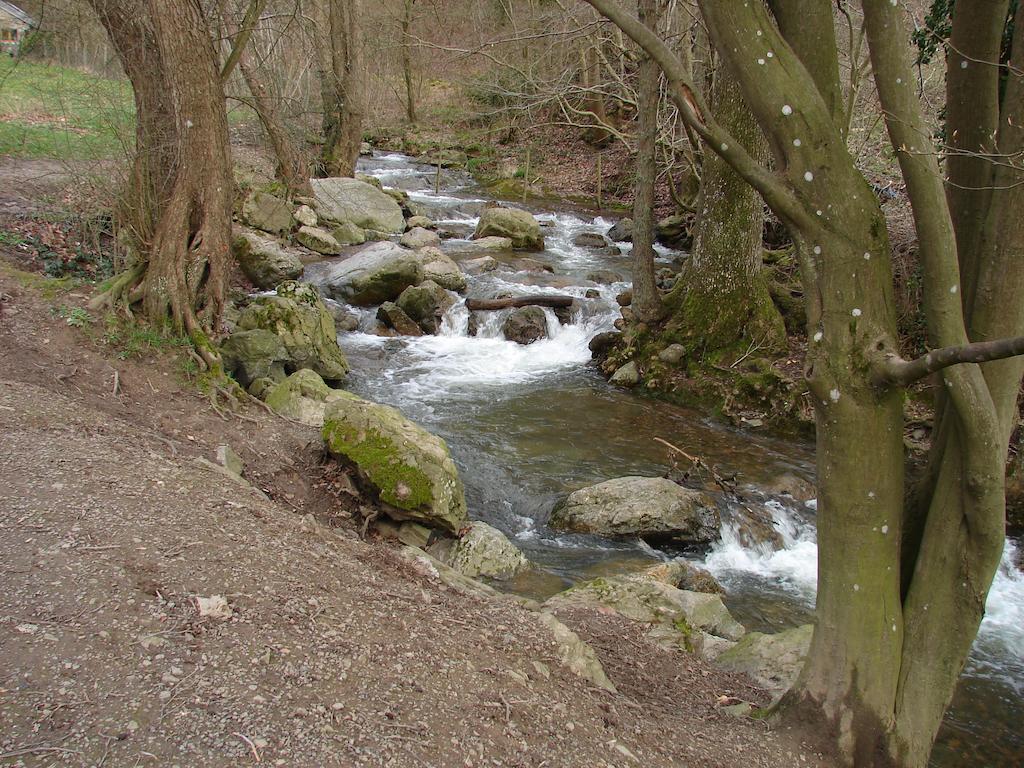 Gite Du Ninglinspo Aywaille Rom bilde